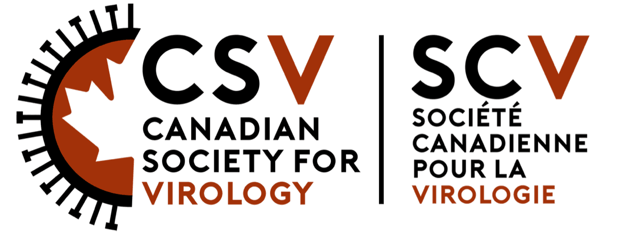 CSV